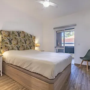 - The Historical Center Of In Local Apartment Funchal (Madeira)